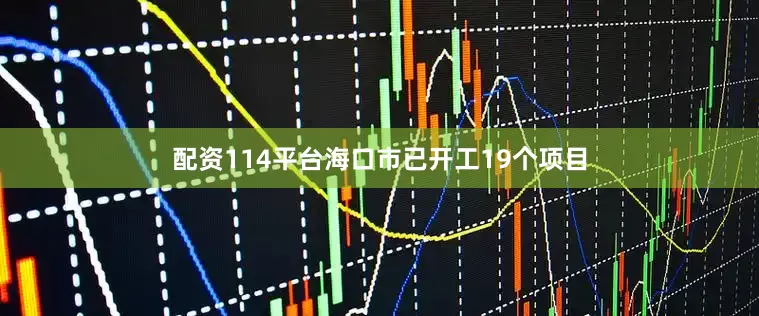 配资114平台海口市已开工19个项目
