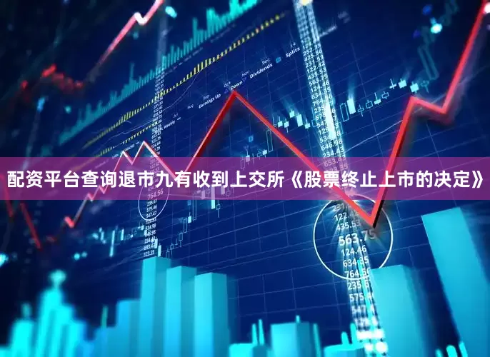配资平台查询退市九有收到上交所《股票终止上市的决定》