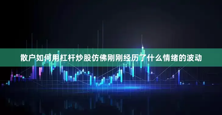散户如何用杠杆炒股仿佛刚刚经历了什么情绪的波动