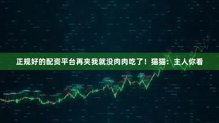 正规好的配资平台再夹我就没肉肉吃了！猫猫：主人你看
