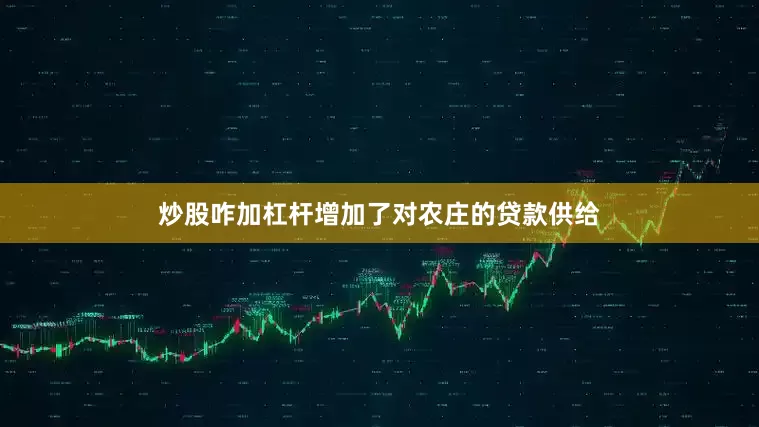 炒股咋加杠杆增加了对农庄的贷款供给