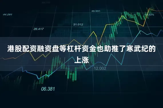 港股配资融资盘等杠杆资金也助推了寒武纪的上涨